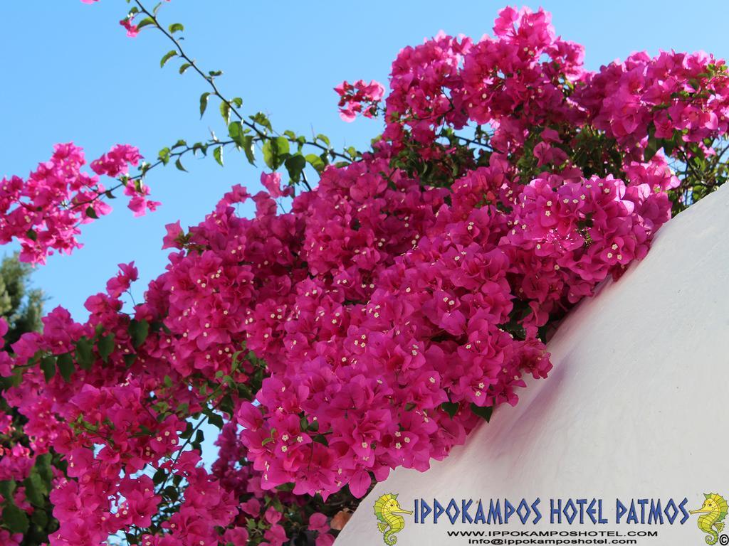Ippokampos Hotel Skala  Luaran gambar